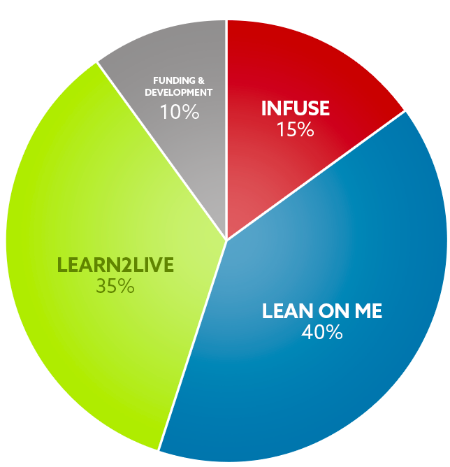 Fundraising and Development: 10%, LEARN2LIVE: 35%, Infuse: 15%, LEANONME: 40%